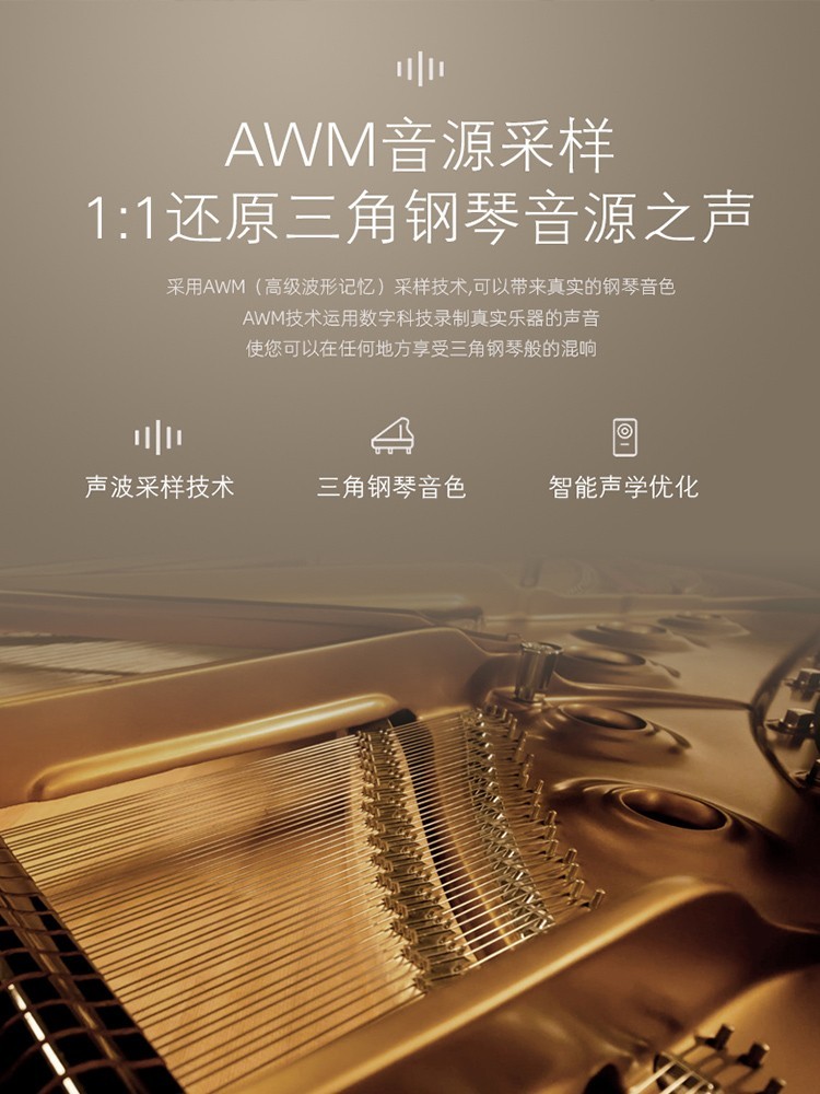 Grand Piano 88-Key Weighted Sm – обзор и цена Smart Home Key