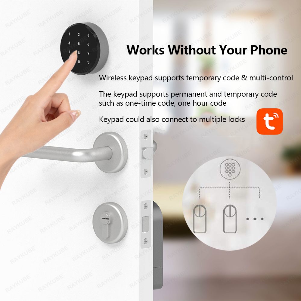 RAYKUBE A1 Pro Tuya BEL Smart  – обзор и цена Smart Home Door Lock