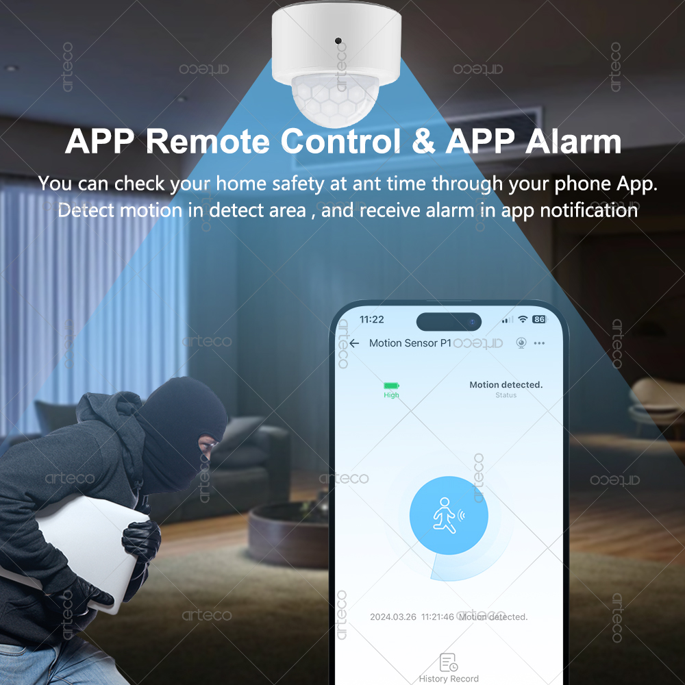 Ewelink Zigbee PIR Motion Sens – обзор и цена Smart Home Ir