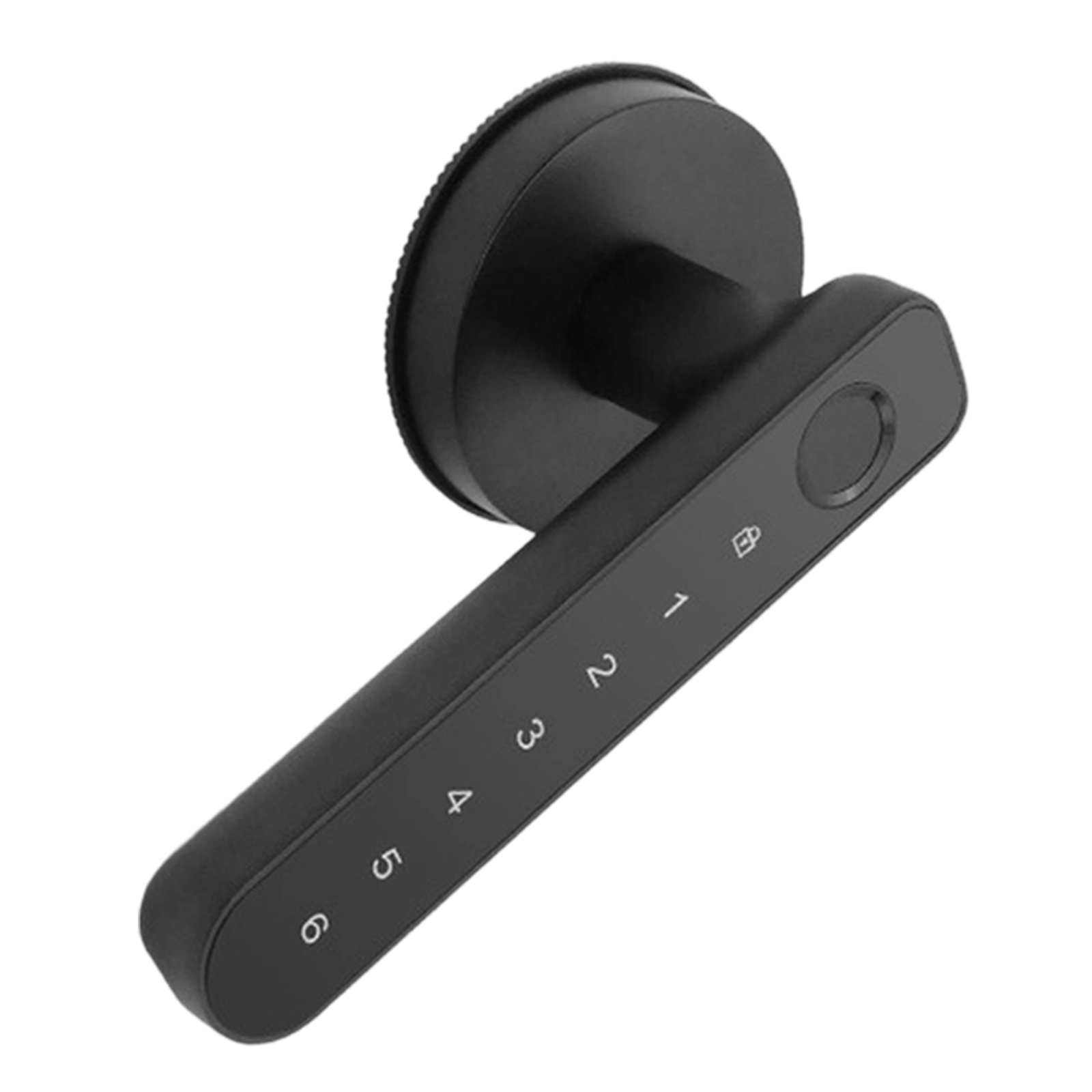 Smart Handle Lock with Fingerp – обзор и цена Smart Home Door Lock