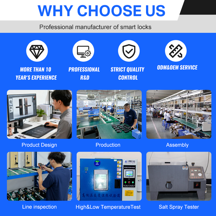Digital Smart Doorlock Passcod – обзор и цена Smart Home Door Lock