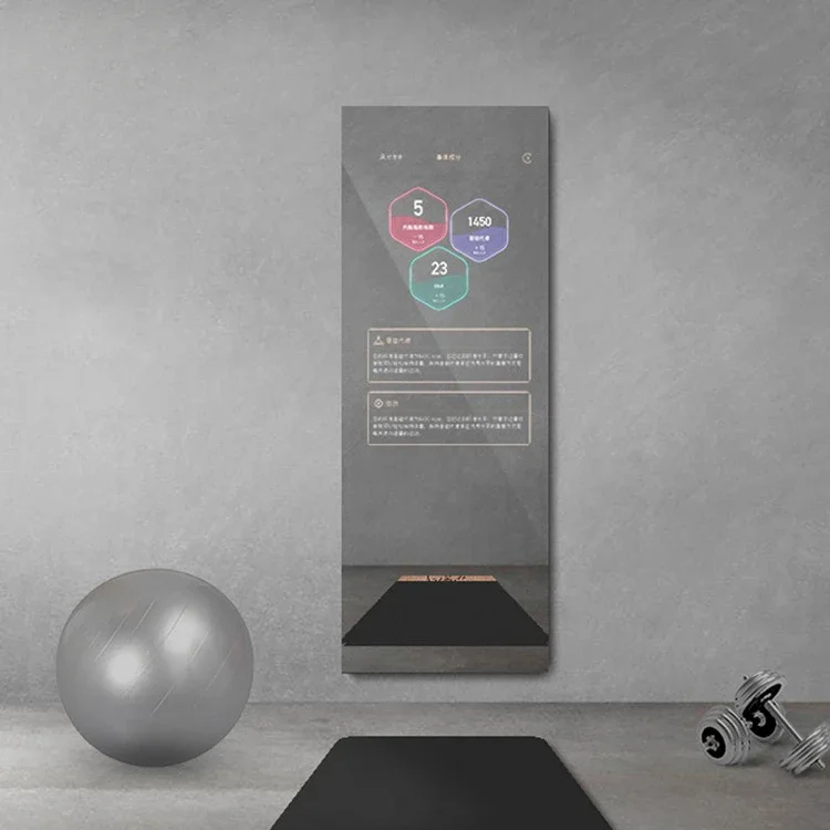 Metafit Tonal Home Glass Wall  – обзор и цена Smart Home Gym