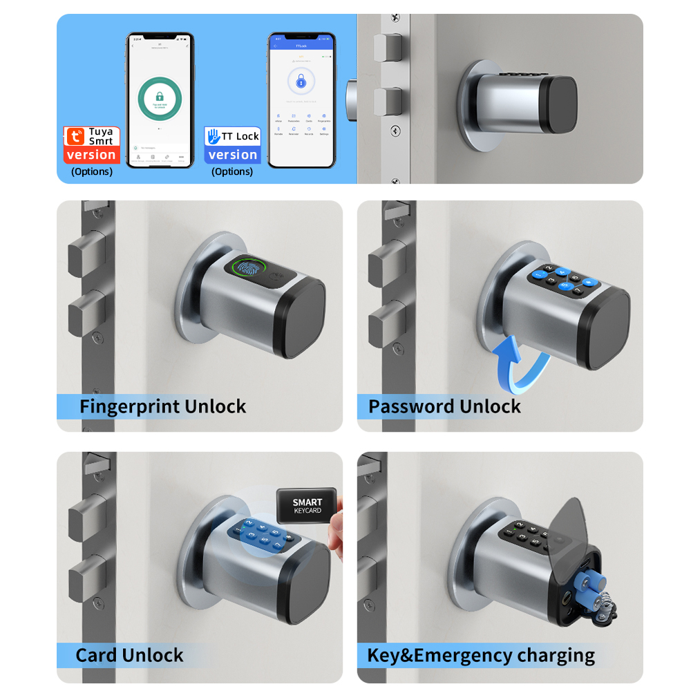 RAYKUBE V1 Tuya BLE TT Lock Sm – обзор и цена Smart Home Hotel